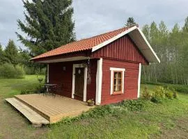 Salatse metsa mesionn