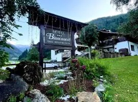 毕安卡内芙酒店