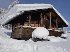 Chalet 3* cosy aux Gets, Wi-Fi, 450m télécabine, 2 chambres, parking privé, balcon sud/est - FR-1-671-40