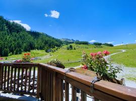 Le Balcon des Ecrins，位于雷阿隆的酒店