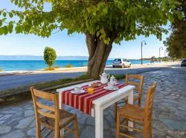 Beachfront Serenity - Petalidi's Moorea Gem