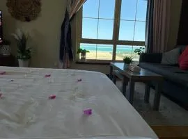 Porto marina Studio D
