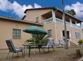 Palm Tree Guest House