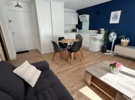 Appartement entier 100m de la gare face au théâtre Molière