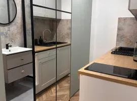 Apartament typu Studio nad Jeziorem Drwęckim