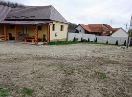 Cazare Valea Dinozaurilor，位于Sibişel的酒店