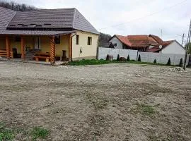 Cazare Valea Dinozaurilor