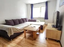 Vacation Apartment In the Black Forest