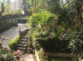 Orchid Bed and Breakfast