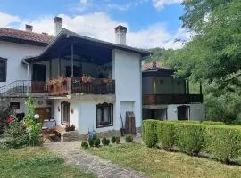 Вила ХВОЙНА