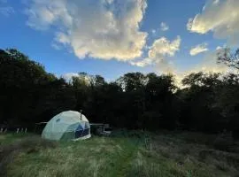 Frowen Fields Eco Glamping and Camping