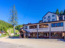 Hotel Central Vlasic，位于弗拉西克的酒店