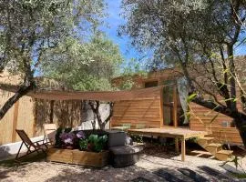 La Tiny House des Oliviers et son jacuzzi
