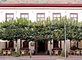 德乐紫库酒店，位于斯海伦贝赫的酒店