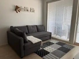 Modern Apartment nearby Airport