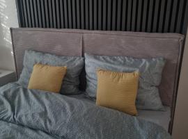 Apartman Lola，位于Novi Grad的酒店
