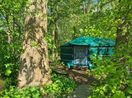 Yurt in Drenthe，位于Een-West的豪华帐篷