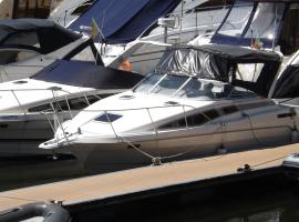 Antares Sleeping Boat，位于Foz do Sousa的船屋