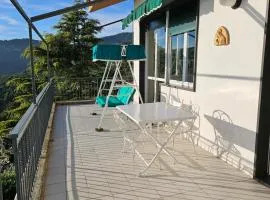 A refuge in the infinite sea