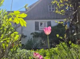 Maison Fuchs - Fantastisches ehemaliges Bauernhaus mit Garten, WiFi und BBQ