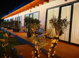 Frenki'S Residence