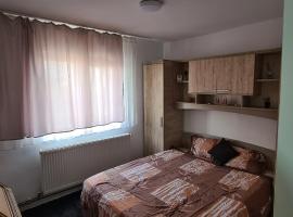 Apartament 2 camere R4，位于Siret的酒店