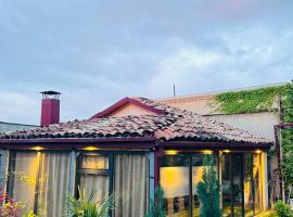 Guest House Sanapiro，位于泰拉维的酒店