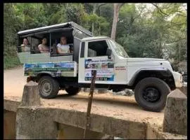 Free tours Hostel