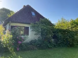 Ferienhaus Tätendorf für die ganze Familie