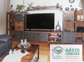 Zentrale-ruhige Ferienwohnung，位于赖兴巴伊姆福格特兰的公寓