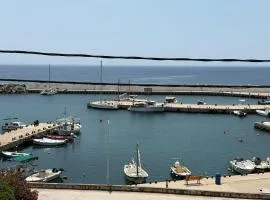 SMYRNA HOMES ASTRONOMi