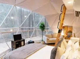 "The Perch" Elevated Woodsy Modern Stay w/ Hot Tub