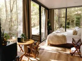 Modern Mirror Home w/ Hot-tub - “Glass House” #1