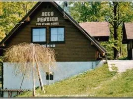 Penzion pod Lysou horou