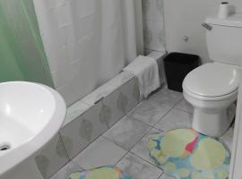 The Studio apartment at Csompó Silver Manor，位于Kupuis的旅馆