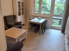 Apartament Saturna