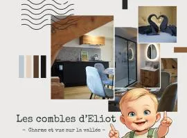 Les Combles d'Éliot - Charme sur la vallée