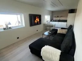 New Modern Apartment in Senja
