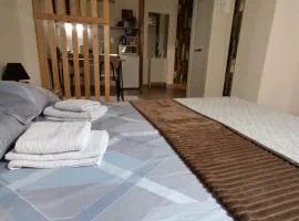 Apartmani S - DSN