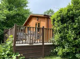 Family Friendly Lodge sleeping 5 with Hot Tub - Devon