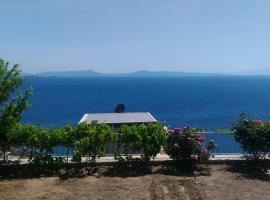 pitanehouse，位于迪基利的酒店