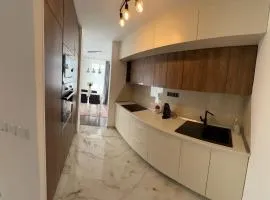Lux Apartment Gusinjac