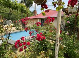 Friendly Cottage with small Pool，位于安布罗劳里的酒店