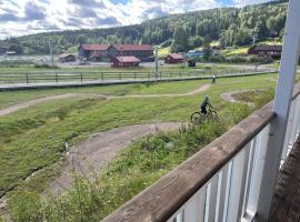 Kungsberget - Verandan Hus B，位于Järbo的酒店