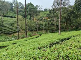 Valparai home stay inn，位于瓦尔帕莱的酒店