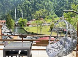 Mavro Uzungöl，位于乌宗的酒店