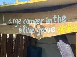 Large camper in the olive grove