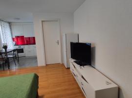 Apartment Buchental , Ruhig und zentral in St Gallen，位于圣加仑的酒店