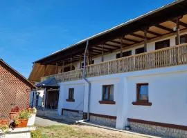 Casa de vacanta Musatesti