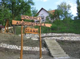 Pensiunea Agroturistica Diana，位于默古拉的酒店